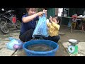 Single Mom Release the pond to catch giant fish to sell with his daughter - cooking | Tương Thị Mai