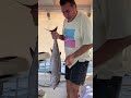 صيد سمك Fishing