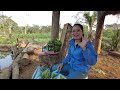 Trang trại 2Q đang phục vụ mục đích cá nhân như thế nào?||2Q Vlogs Cuộc Sống Châu Phi