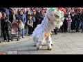 Chinese New Year 2024 - Lion Dance - Southampton