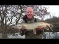 Large pike February Blog