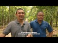 Sustainable forest management in action - Philippines