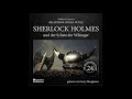 Die neuen Abenteuer | Folge 24: Sherlock Holmes und der Schatz der Wikinger - Gerry Hungbauer
