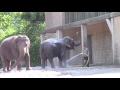 Ein Tag im Berliner Zoo