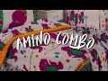 ✶ updated amino combo