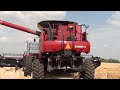 Kansas Wheat Harvest May 27, 2012 Assaria, KS