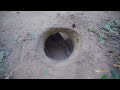 Building The Most Secret Underground Tunnel to Live Secretly in the Jungle