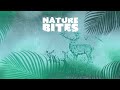 David Attenborough's Weirdest Micro Monsters | Nature Bites