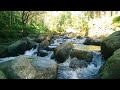 GENTLE STREAM SOUND IN FOREST 24/7. WATERFALL SOUNDS, FLOWING WATER, WHITE NOISE FOR SLEEP