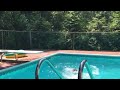 Last summer in the pool 3