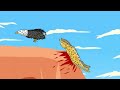 LEOPARD VS BABOON VS EAGLE ANIMATION