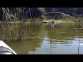 Kayaking on Seminole Lake