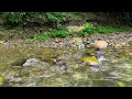 Wonderful Sounds of Mountain Waterfall, Babbling Streams, Nature Sounds, White Noise for Sleep, ASMR