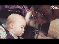 Pony Has Been In Love With Little Girl Since She Was Born | The Dodo