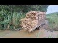 Full Video: Two Trucks Carrying Timber in Mud - Trucks and Excavators Come to the Rescue