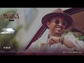 Mesay Tefera - Konjo Nesh  - | ቆንጆ ነሽ - New Ethiopian Music 2024 - ( Official Lyrics Video)