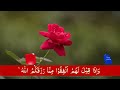 Surah Yasin ( Yaseen ) with Urdu Tarjuma | Quran tilawat | Episode 0024| Quran with Urdu Translation
