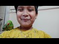 My first video with my parrot Jonny
