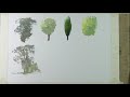 How to Paint Watercolour Trees!