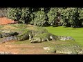 Malcolm Douglas Crocodile Park