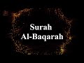 Surah Al-Baqarah Beautiful Recitation by Rzgar Kurdy