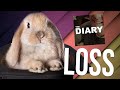 The Diary: Loss