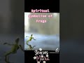 Spiritual Symbolism of FROGS 🐸