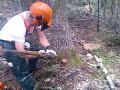 Rušenje ledoloma Hrvatske Šume