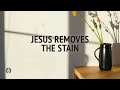Jesus Removes the Stain | Audio Reading | Our Daily Bread Devotional | July 26, 2024