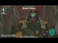 Link's House EXPLODES and Other TotK GLITCHES