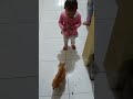 Kucing diberi Makan Sama Bayi (Cat Eat by Baby)