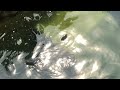 Coot Family Fishing for Snails at Stoneycove