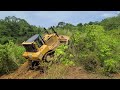The Most Efficient Job Done by The Dozer - CAT D7R Break Down The Trees