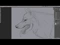 How to Paint Fur - Photoshop - Wolf Portrait