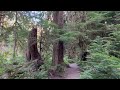 Olympic National Park, Multnomah National Recreation Area & Mt. Rainier National Park - July 2024