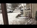 Snow Jan 2018