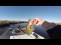 Marsh MONSTERS! || fishing in Louisiana