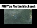 Pov You ate the Mackerel