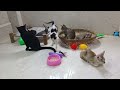 You Laugh You Lose😹Funniest Dogs and Cats 2024😻🐶