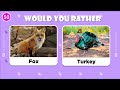 Would You Rather...? Animals Edition 🐶🐱