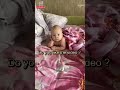 Best Videos Of Cute and Funny Twin Babies  / Try Not To Laugh: cute baby funny videos #twinbabies