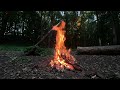 Campfire In the Forest Relaxing Fireplace & Burning Sounds 🔥 4K Free Footage Video | GoPro 11