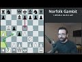 Win in 5 Moves with the NORFOLK GAMBIT