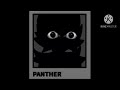 Panther is mad.