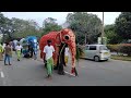 Ready Majestic March of Temple Elephants Gangarama Navam Perahera