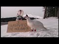 Snowboarding Turkey