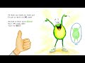 🐸🖍️This Book Is A Mistake - Finn The Frog Collection - Kids Book Read Aloud