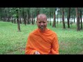 5 Ways to Speak with Wisdom | Wisdom from the Monastery