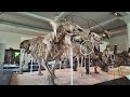 American Museum of Natural History - Episode 3: Giants of the Past - Dinosaurs