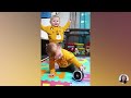 Funniest Moment Of Baby Dancing || Peachy Vines